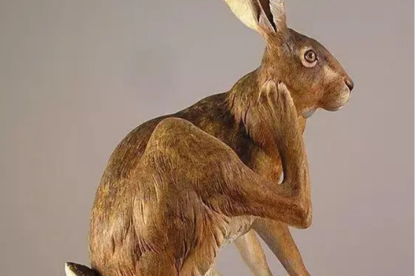 惟妙惟肖的拼音