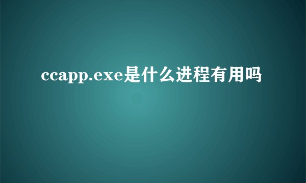 ccapp.exe是什么进程有用吗