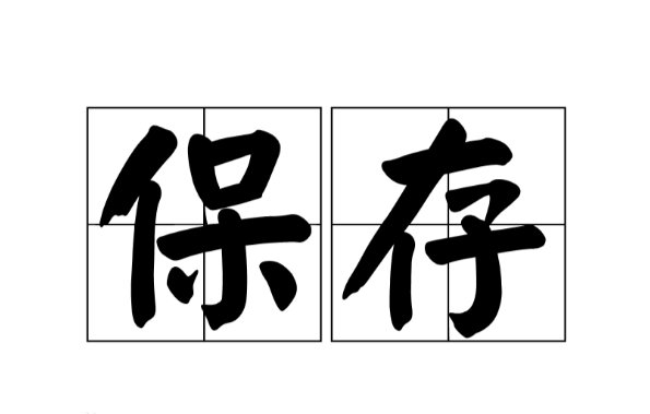 保存是什么意思