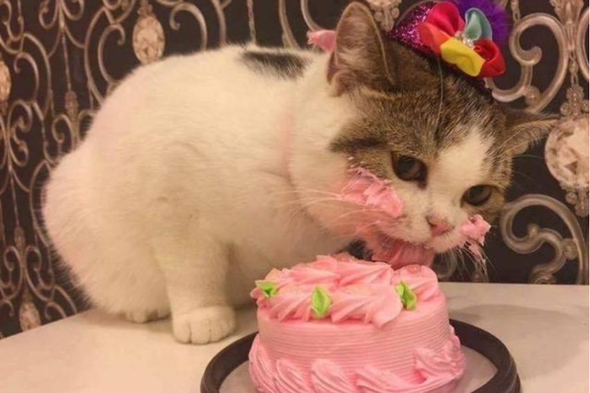 把持不住是什么意思