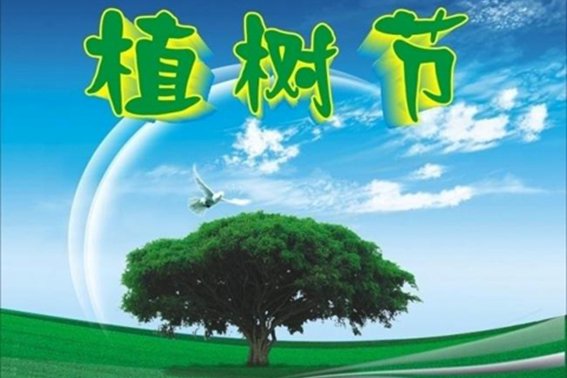 植树节的拼音