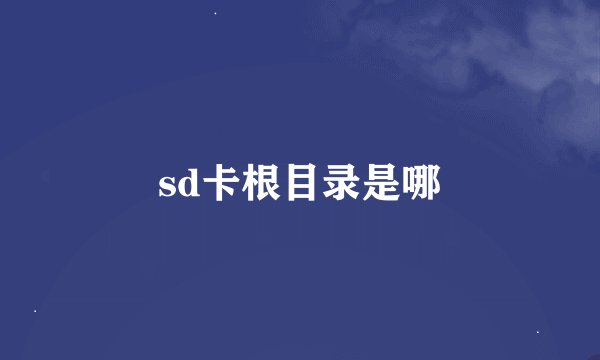 sd卡根目录是哪