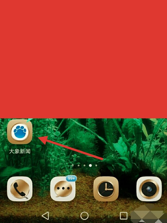 河南卫视直播在哪里看呢？