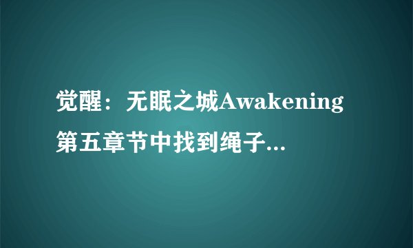 觉醒：无眠之城Awakening第五章节中找到绳子和锤子后，怎么把绳子挂到pulley上去？