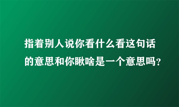 指着别人说你看什么看这句话的意思和你瞅啥是一个意思吗？