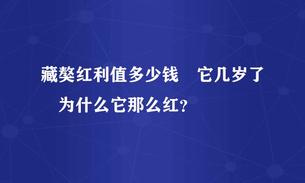 藏獒红利值多少钱 它几岁了 为什么它那么红？