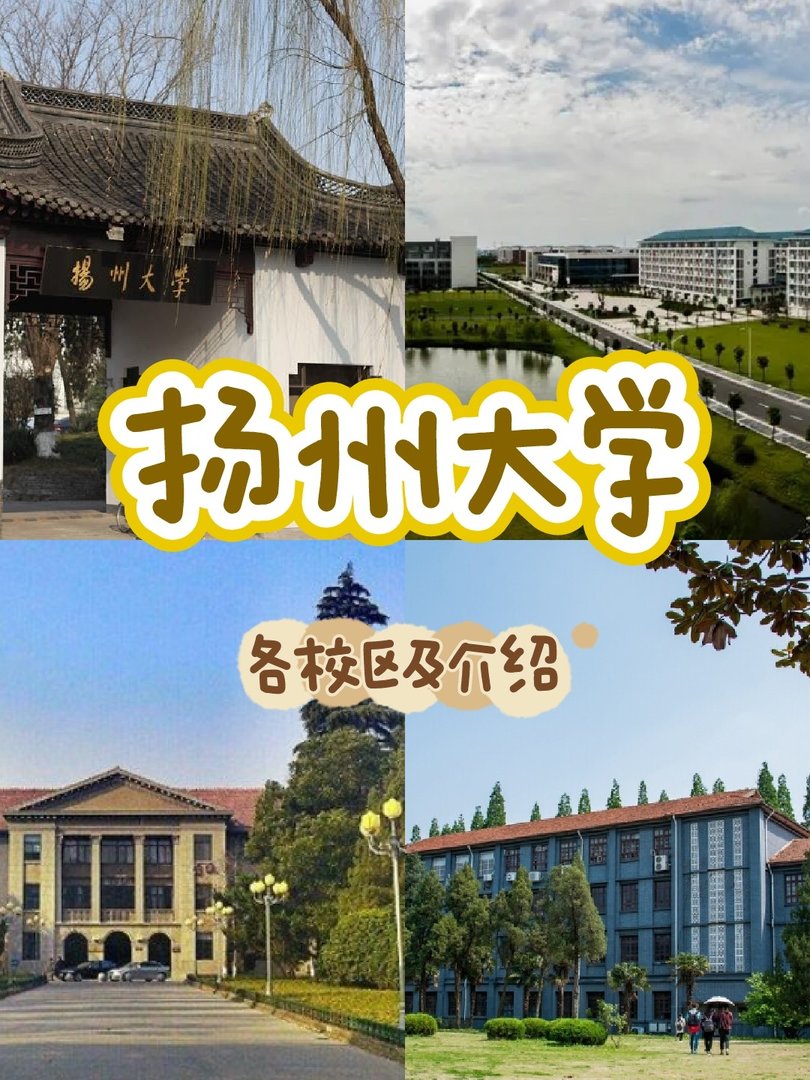 请问扬州大学的学院和专业如何划分的？