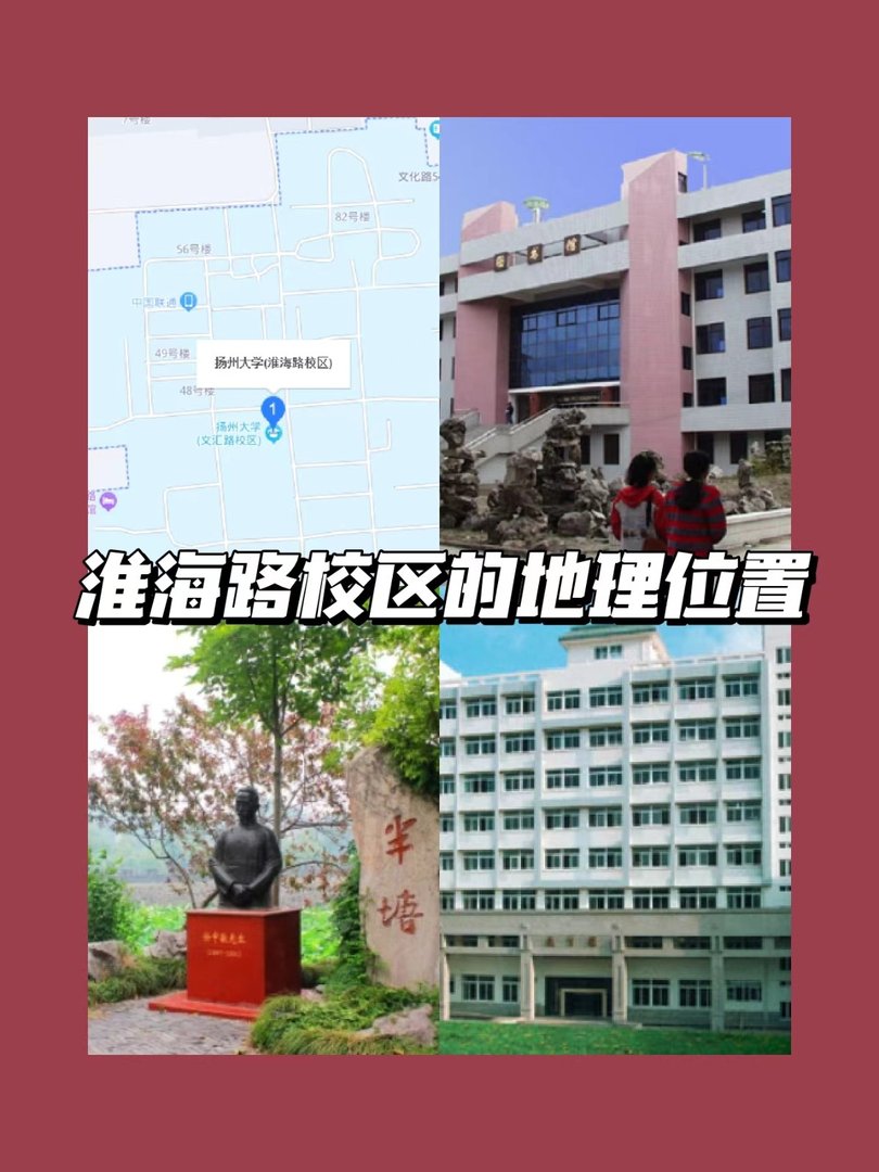 请问扬州大学的学院和专业如何划分的？