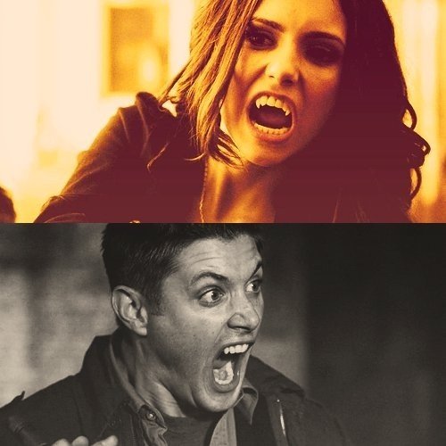 holyshit是什么意思？