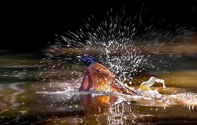 畅快淋漓是什么意思