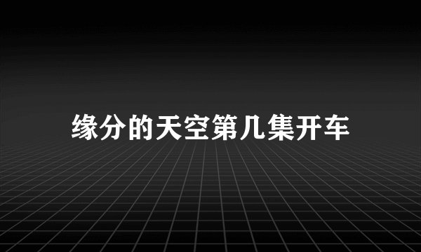 缘分的天空第几集开车