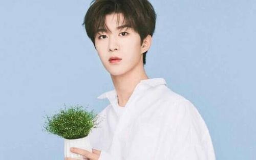 范冰冰为什么生下范丞丞呢?