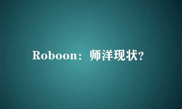 Roboon：师洋现状？