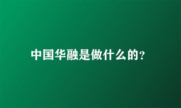 中国华融是做什么的？