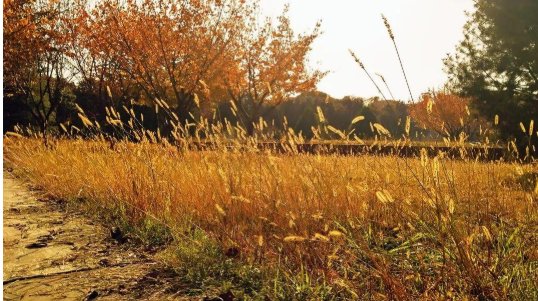 什么的微风 怎么填写？