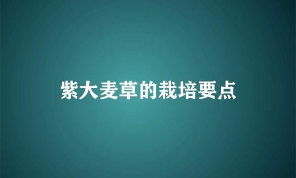 紫大麦草的栽培要点