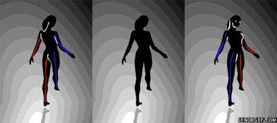 谁能把我解释下为何我只能看到这个舞女图是顺时针转，而非逆时针？