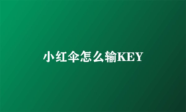 小红伞怎么输KEY