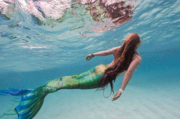 美人鱼是哪种海洋动物