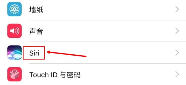 苹果手机那个siri建议怎么关掉