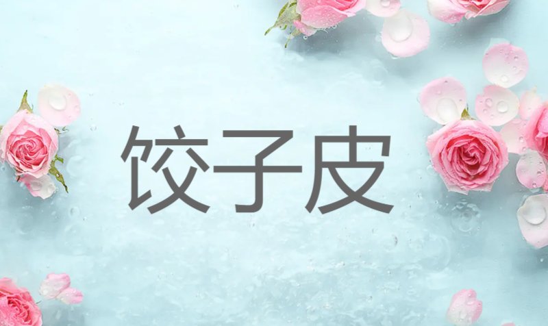 饺子皮网络用语