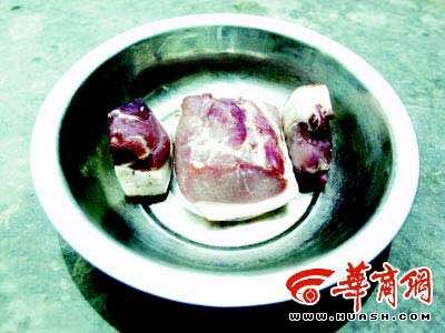 磷光发光杆菌的简介