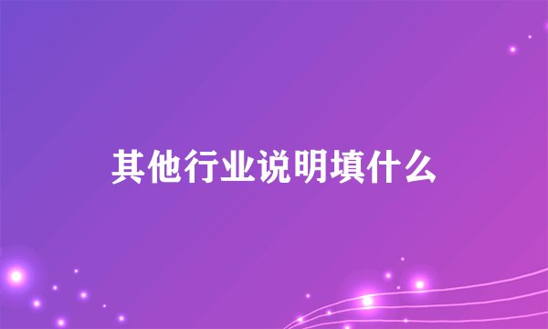 其他行业说明填什么