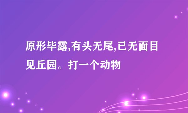 原形毕露,有头无尾,已无面目见丘园。打一个动物