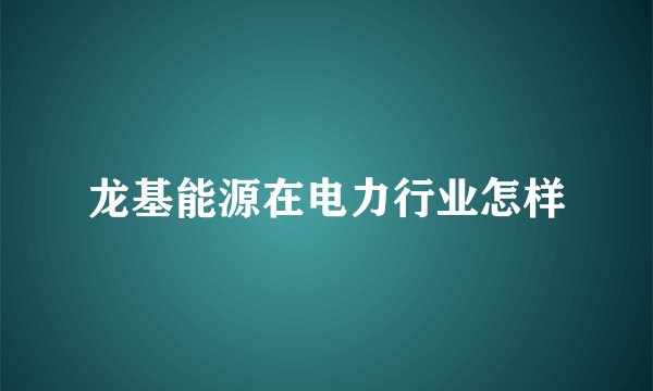 龙基能源在电力行业怎样