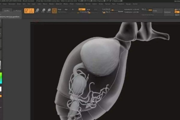 maya怎么进不去了