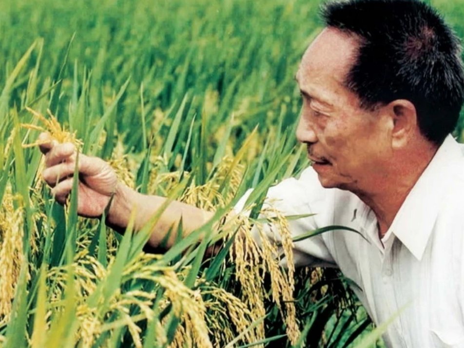 三天痛失四位国之栋梁，他们分别是谁？