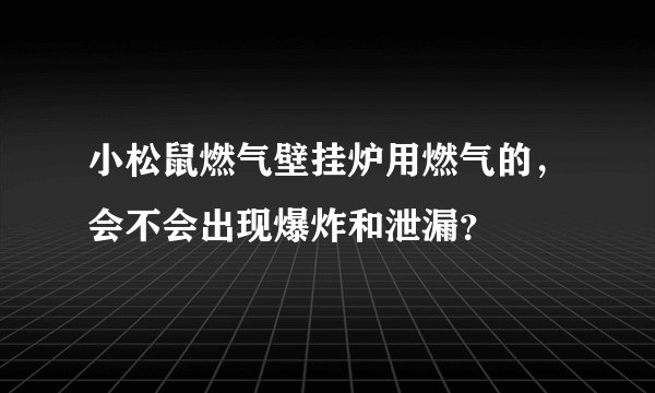小松鼠燃气壁挂炉用燃气的，会不会出现爆炸和泄漏？