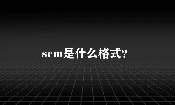 scm是什么格式？