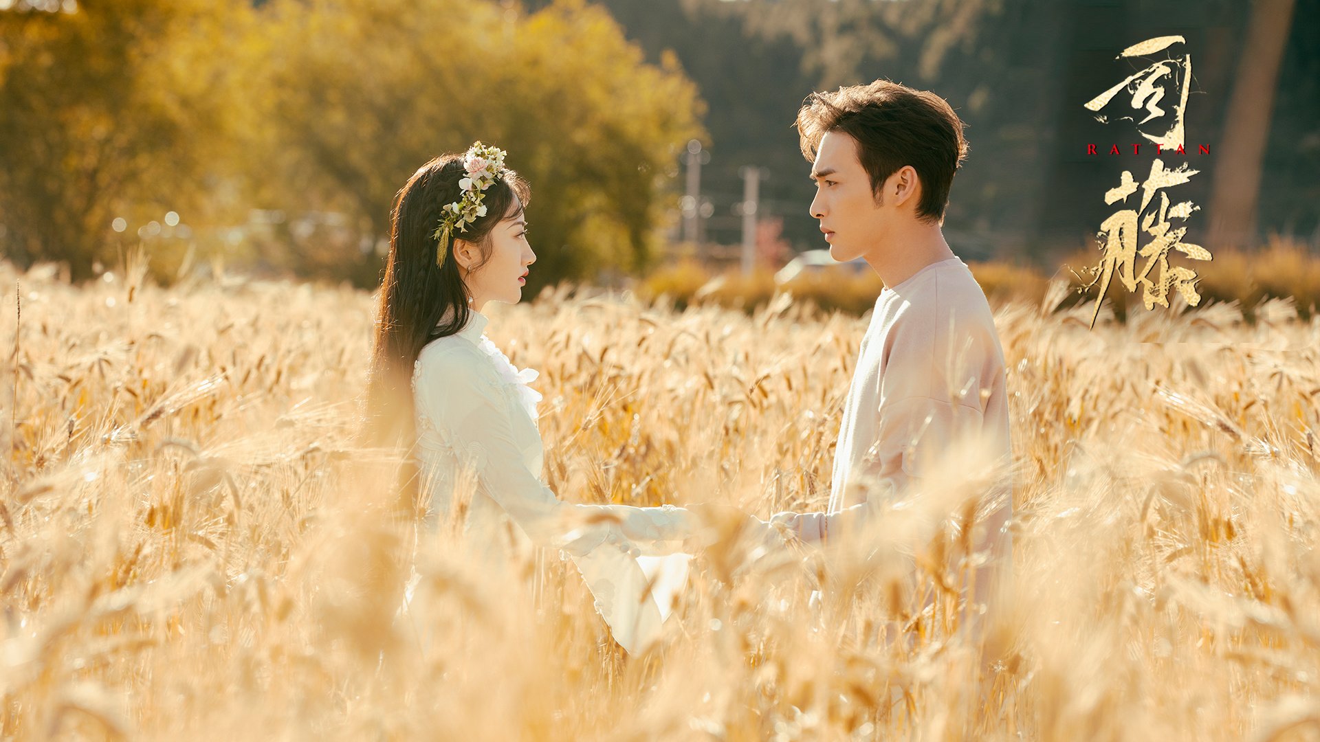 司藤：西竹真是半妖的孩子，秦放有血缘关系吗？