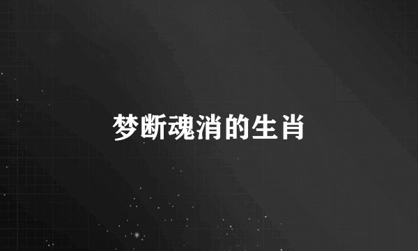 梦断魂消的生肖