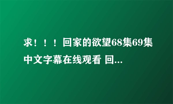 求！！！回家的欲望68集69集中文字幕在线观看 回家的欲望大结局优酷土豆视频下载