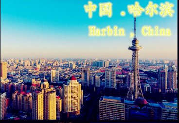 0451是哪个城市的区号