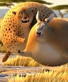 这是哪个动画？