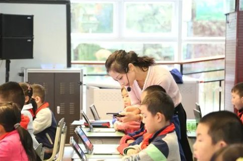 袭人故技解一生肖