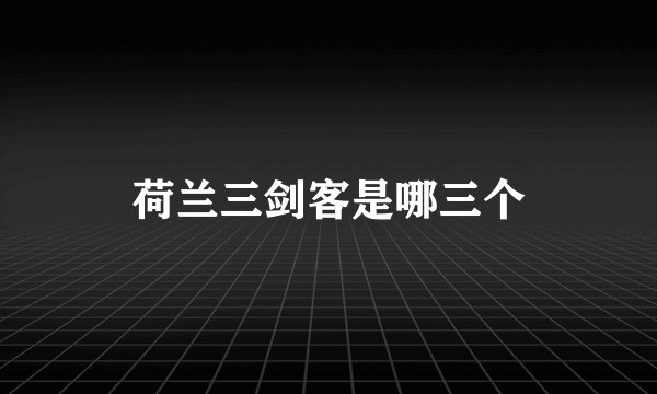 荷兰三剑客是哪三个