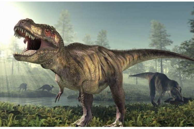 龙生九子谁最好看