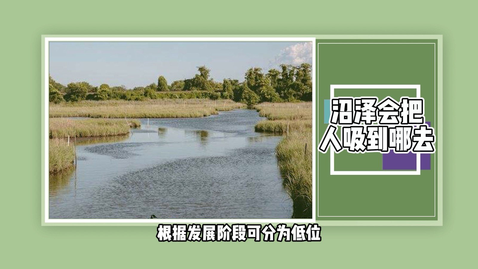 沼泽会把人吸到哪去?