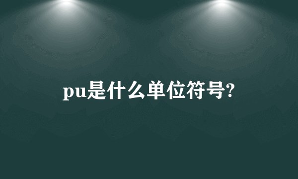 pu是什么单位符号?