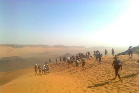 向导的拼音怎么写