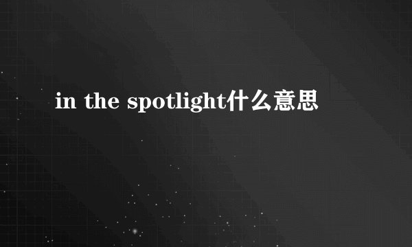 in the spotlight什么意思