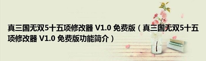 真三国无双5十五项修改器V10免费版真三国无双5十五项修改器V10免费版功能简介
