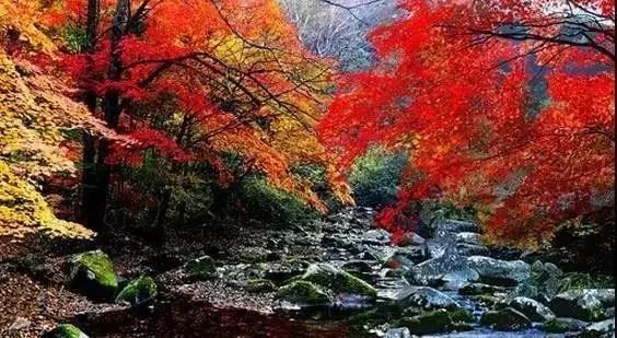 接种的智飞疫苗入境美国不承认咋办?