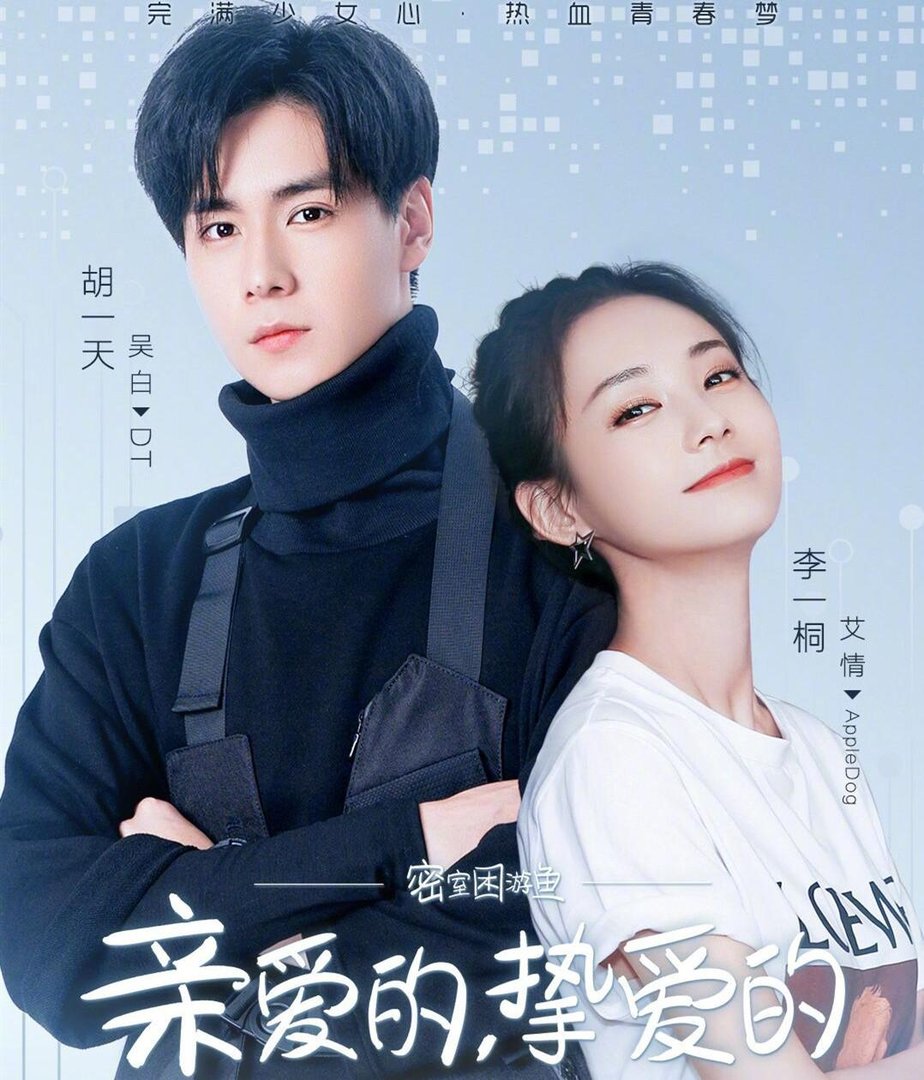 艾情比吴白大多少岁，艾情和王浩发生了什么？