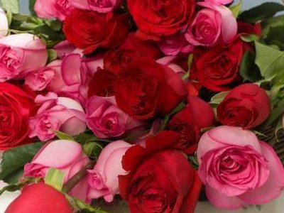 380是什么意思？