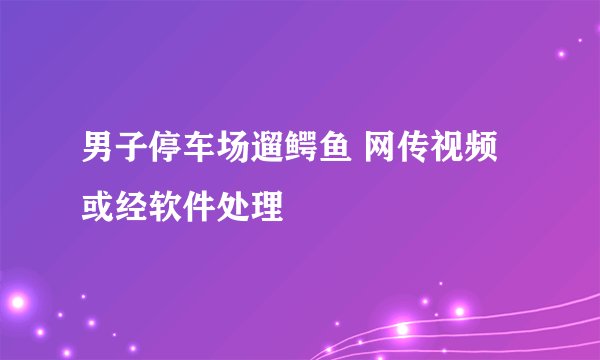 男子停车场遛鳄鱼 网传视频或经软件处理